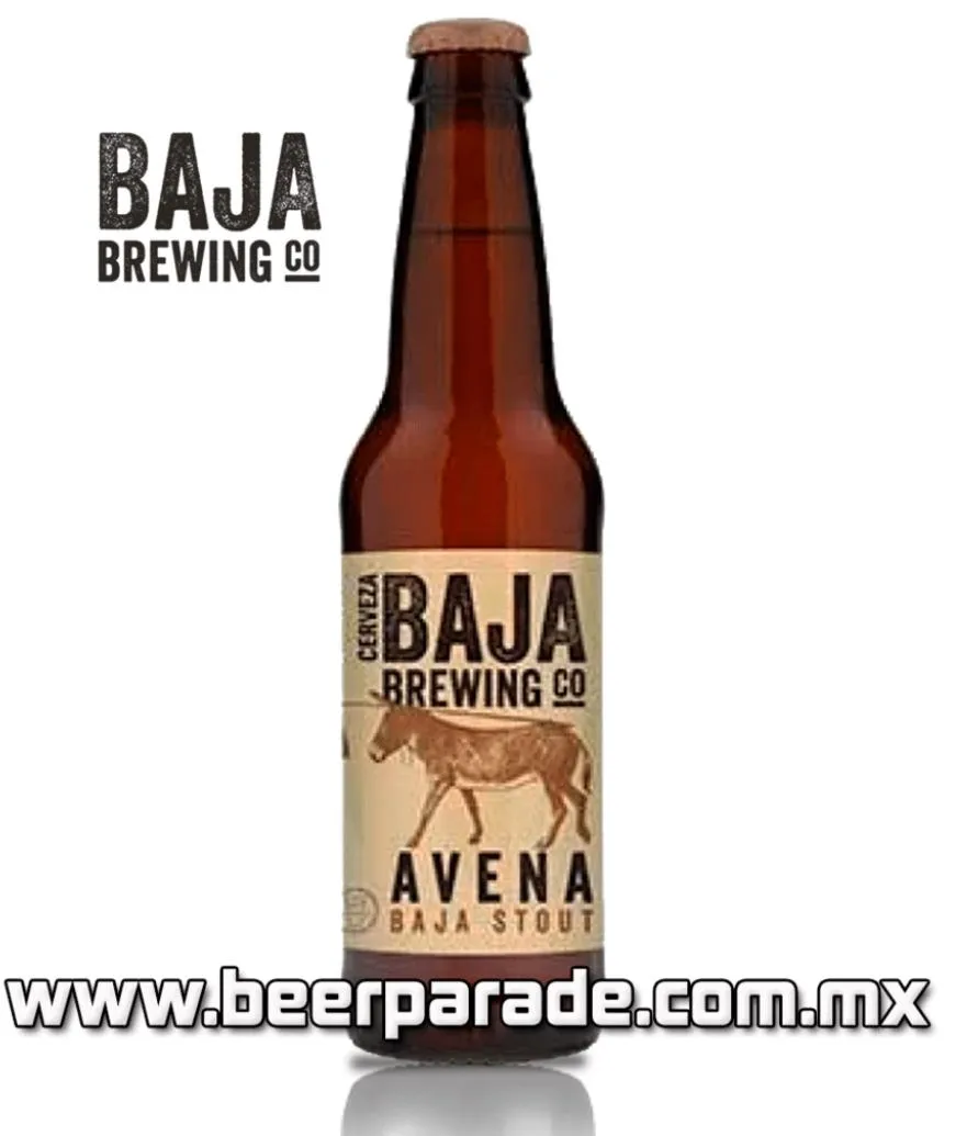 Baja Brewing Stout