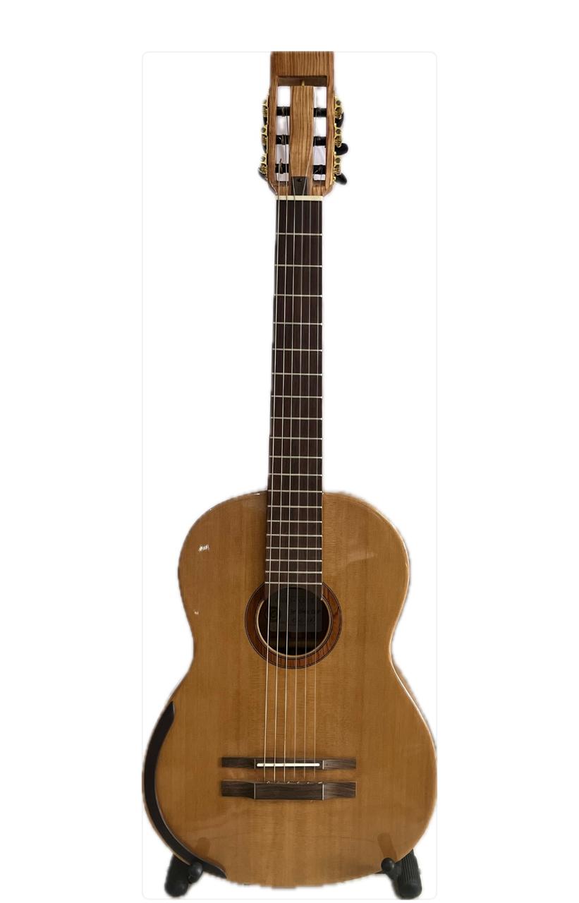 Guitarra fina de madera de palo escrito