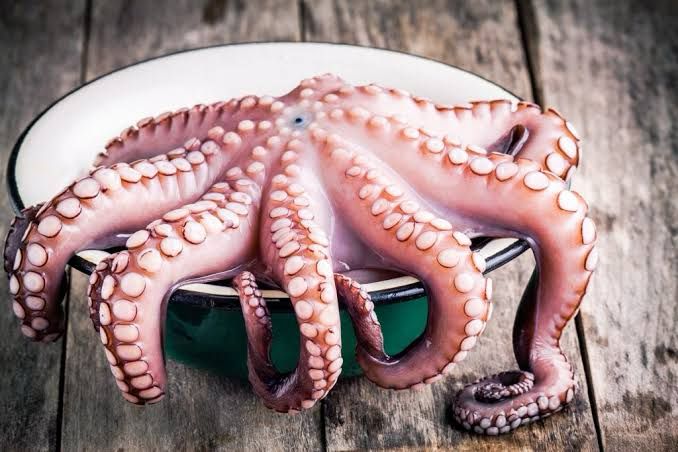 Pulpo