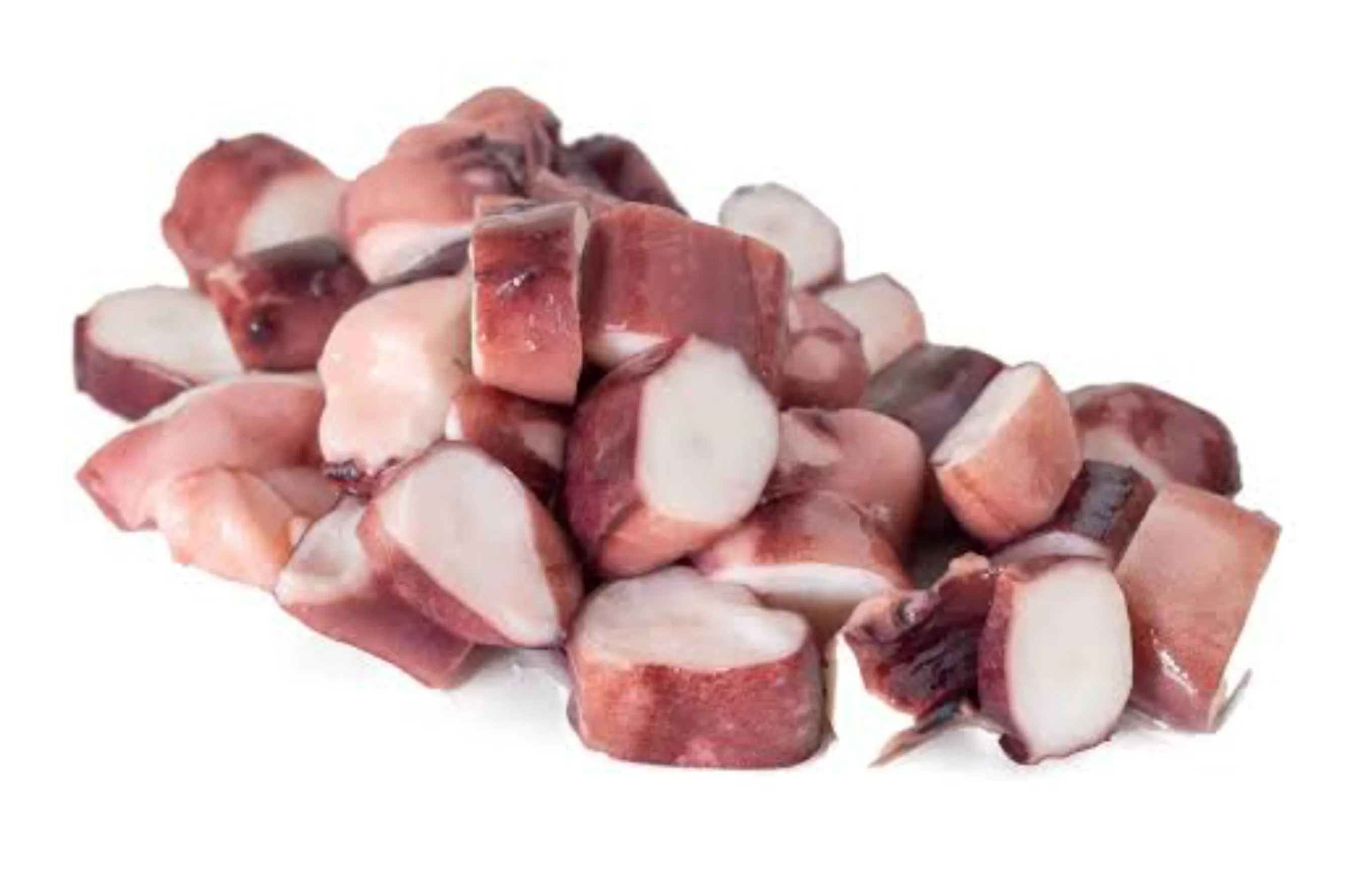Calamar Cocido