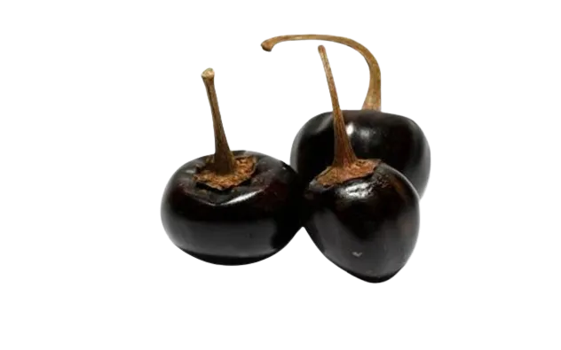 Chile cascabel