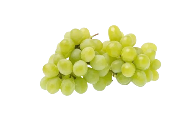 Uva Verde