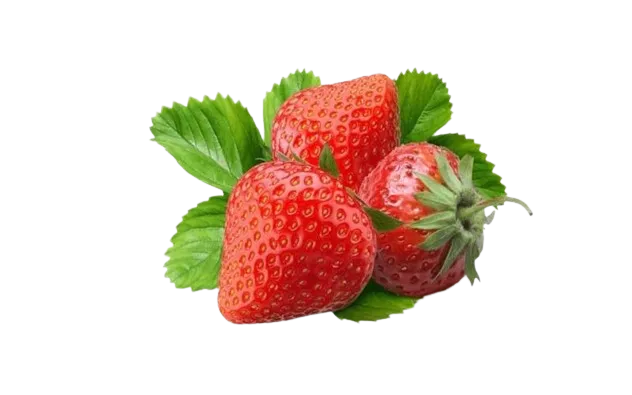 Fresas