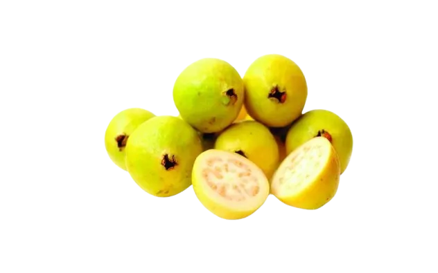 Guayaba