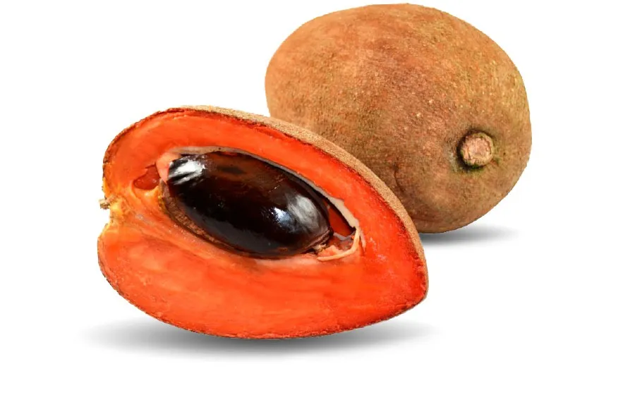Mamey