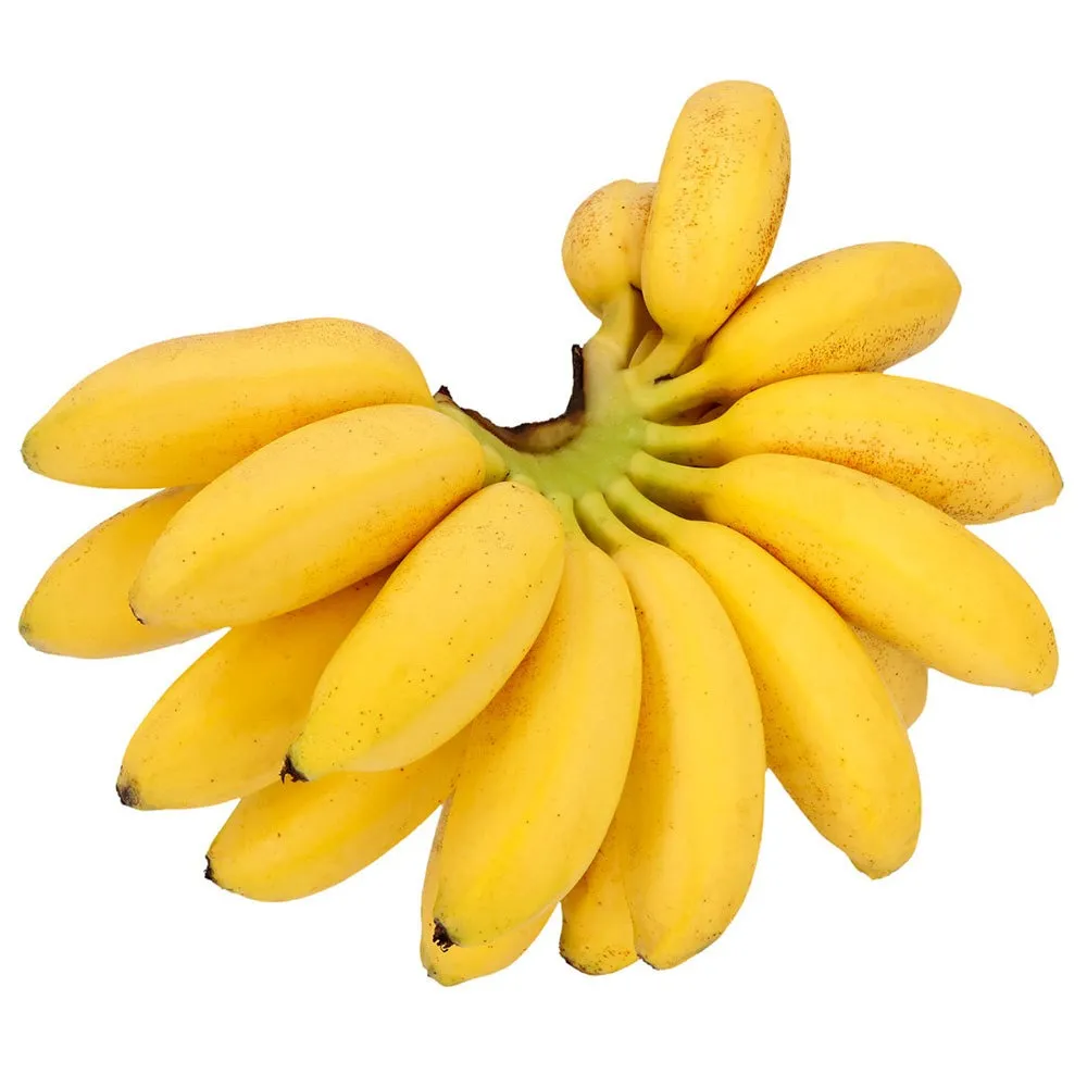 Plátano Dominico