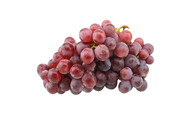 Uva Morada