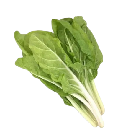 Acelga Manojo Grande