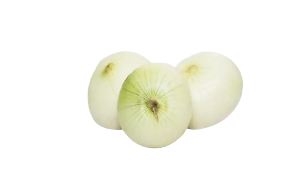 Cebolla Blanca Grande