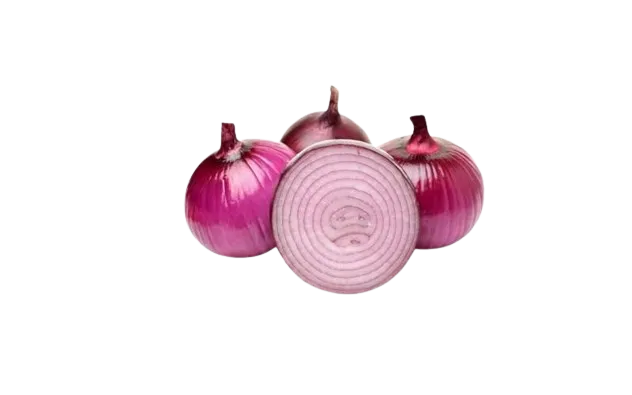 Cebolla Morada