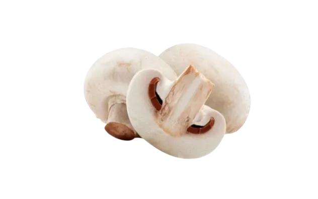 Champiñon Blanco