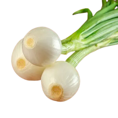Cebolla Con Rabo