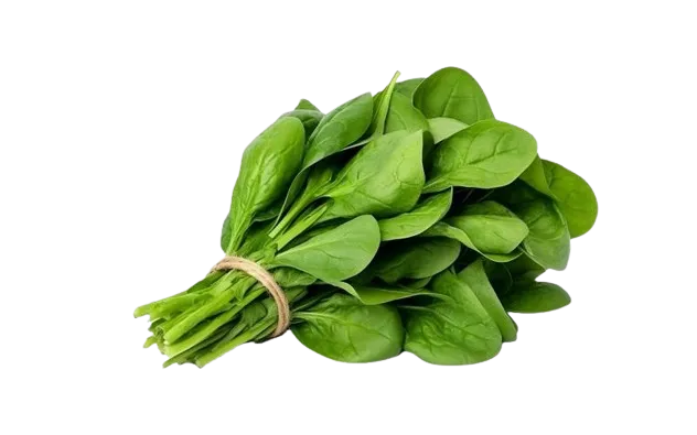 Espinacas Manojo