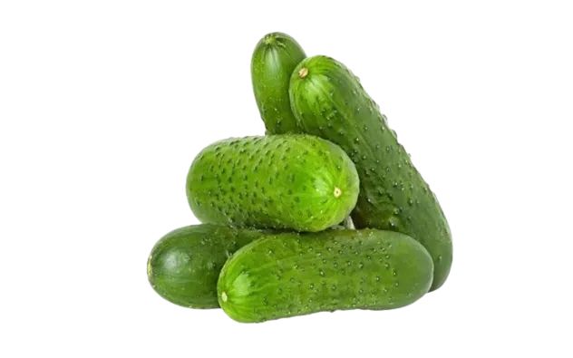 Pepino Criollo