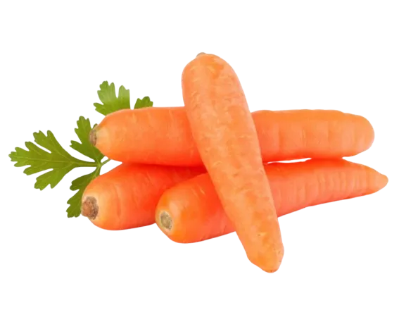 Zanahoria Tierna