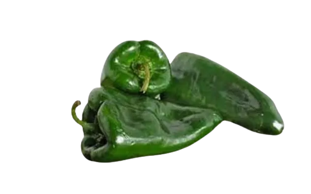 Chile Poblano