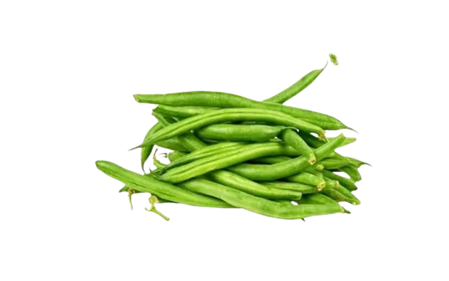 Ejotes