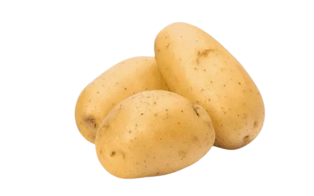 Papa Blanca