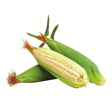 Elote por Pieza