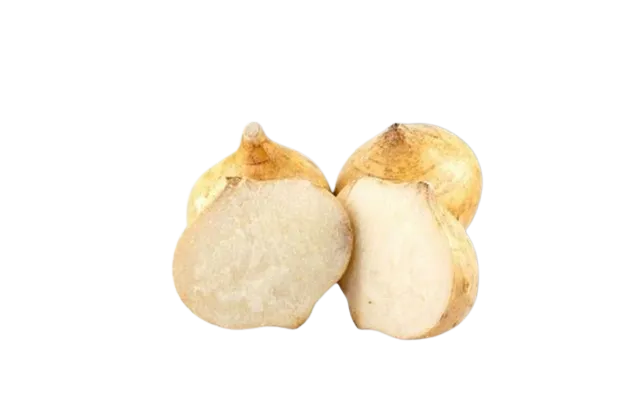 Kg Jícama 