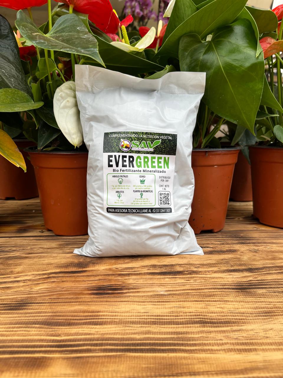 Evergreen Fertilizante 1kg