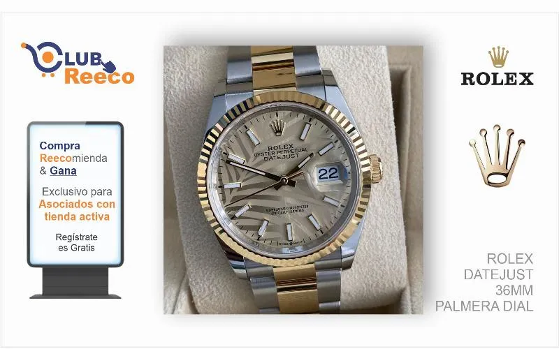 ROLEX DATEJUST 36MM PALMERA DIAL
