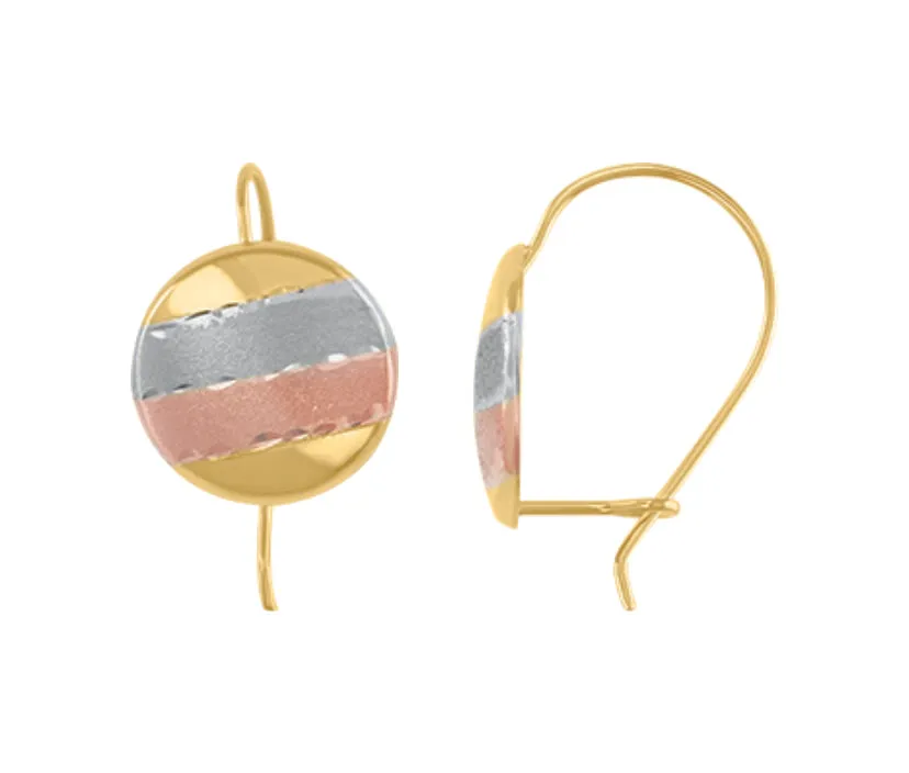 Aretes Modelo 3-15-04