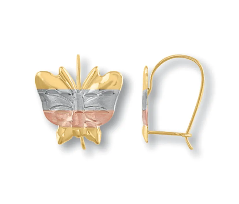 Aretes Modelo 3-15-05
