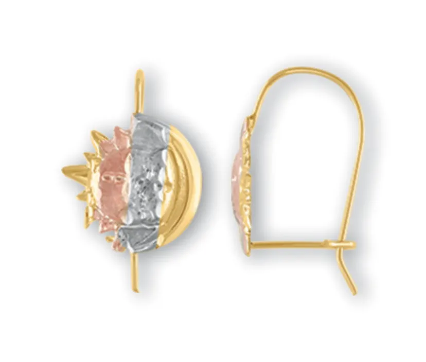 Aretes Modelo 3-15-10
