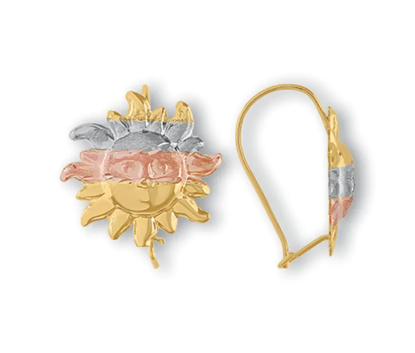 Aretes Modelo 3-16-05