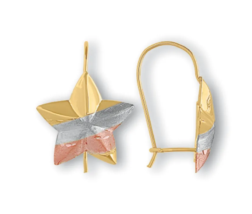 Aretes Modelo 3-16-08