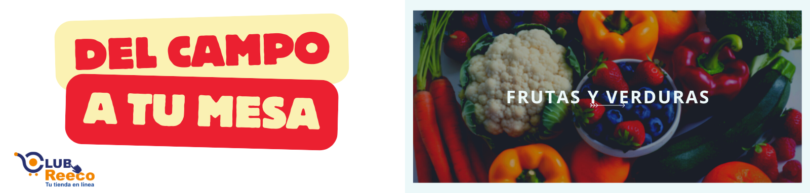 reeco_slider1_131_131