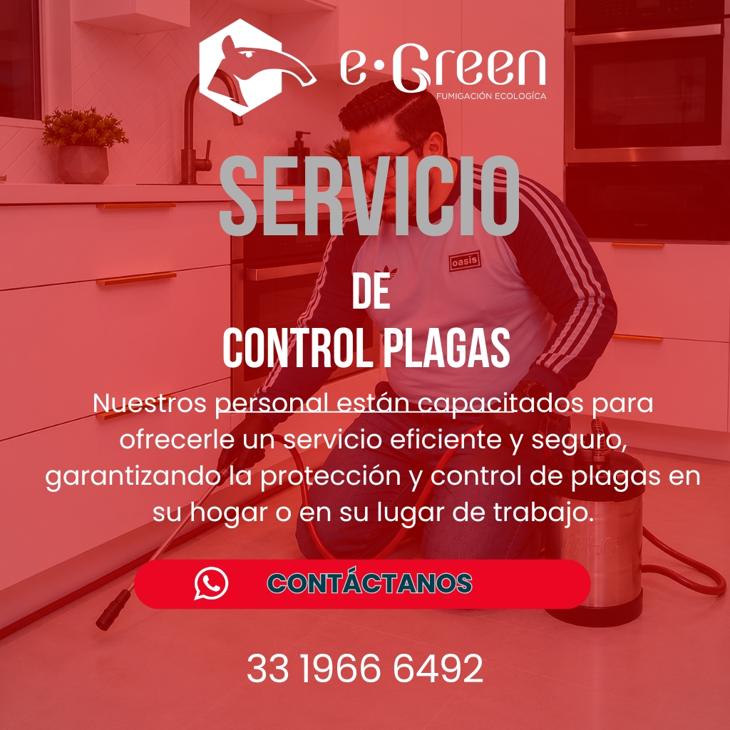 Ponle un candado a los bichos antes de que entren. Servicio exclusivo de protección para inmuebles sin plagas activas. ¡Agenda hoy!