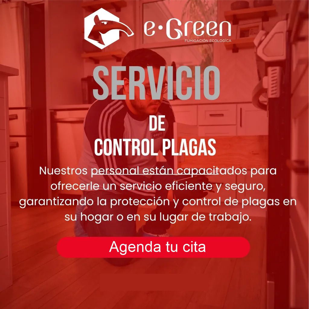 Ponle un candado a los bichos antes de que entren. Servicio exclusivo de protección para inmuebles sin plagas activas. ¡Agenda hoy!