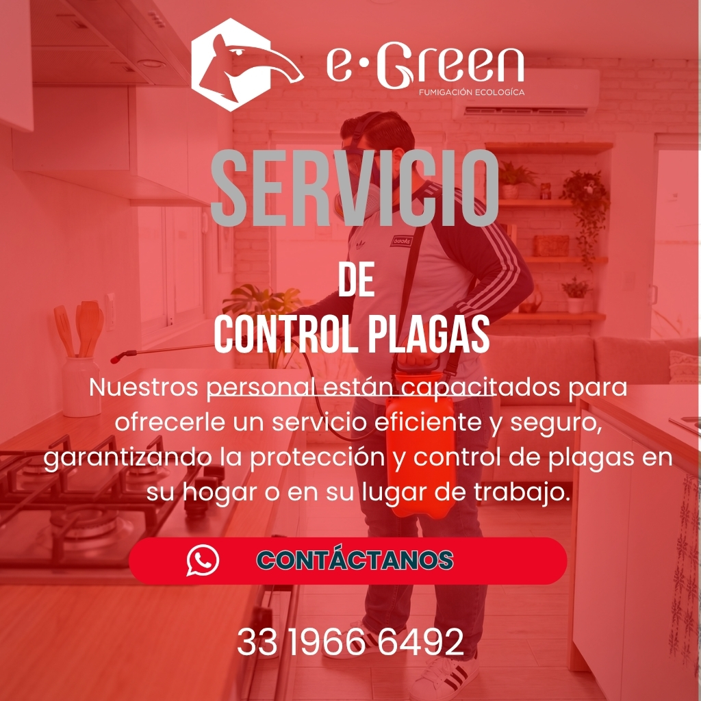 Este servicio está hecho única y exclusivamente para proteger casas y negocios que hoy están limpios. Es como ponerle un "candado" a las puertas y ventanas para que los insectos no puedan entrar.